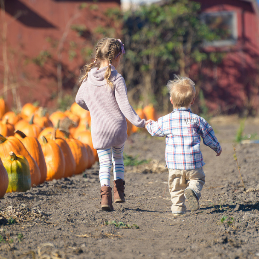 Fall Fun & How to Stay Safe and Healthy